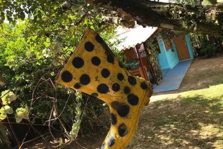 Casinha Azul De Penedo Βίλα Penedo  Εξωτερικό φωτογραφία